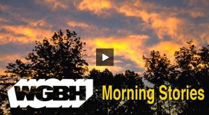 Prof Hutchison features on the Morning Stories webcast